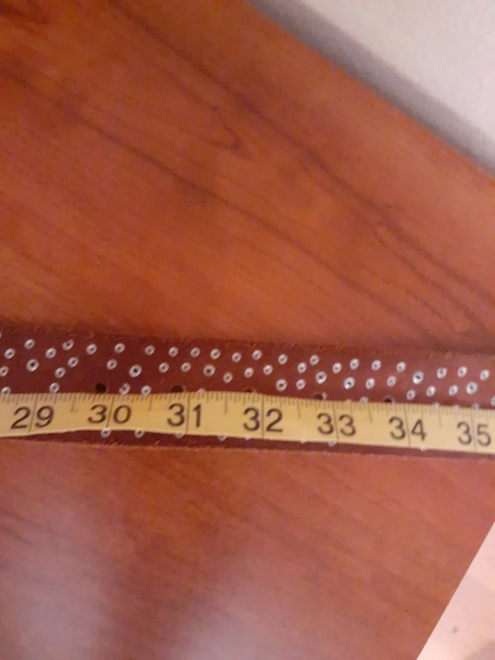 Urban Outfitters Super Studded Western Belt